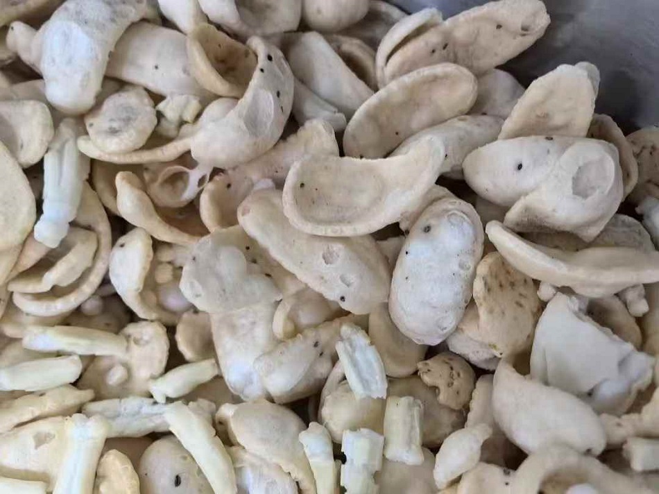 許昌智工炒貨機