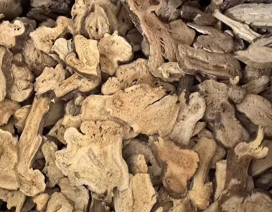 中型炒貨設(shè)備