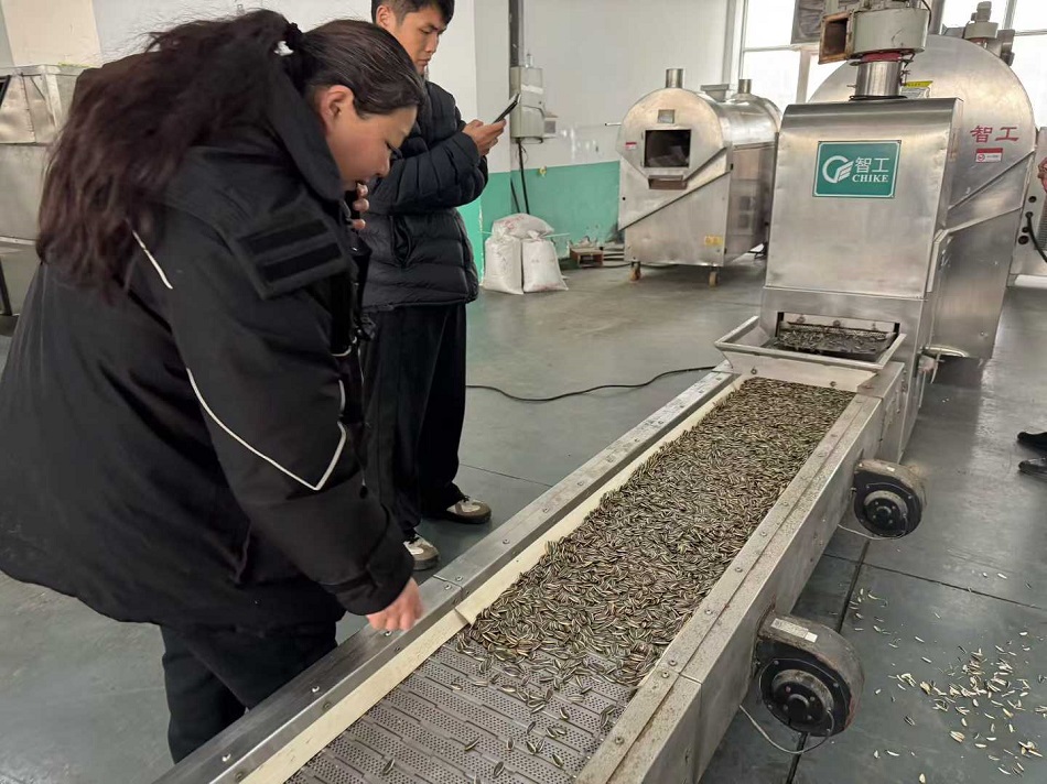 流水線電磁炒貨機